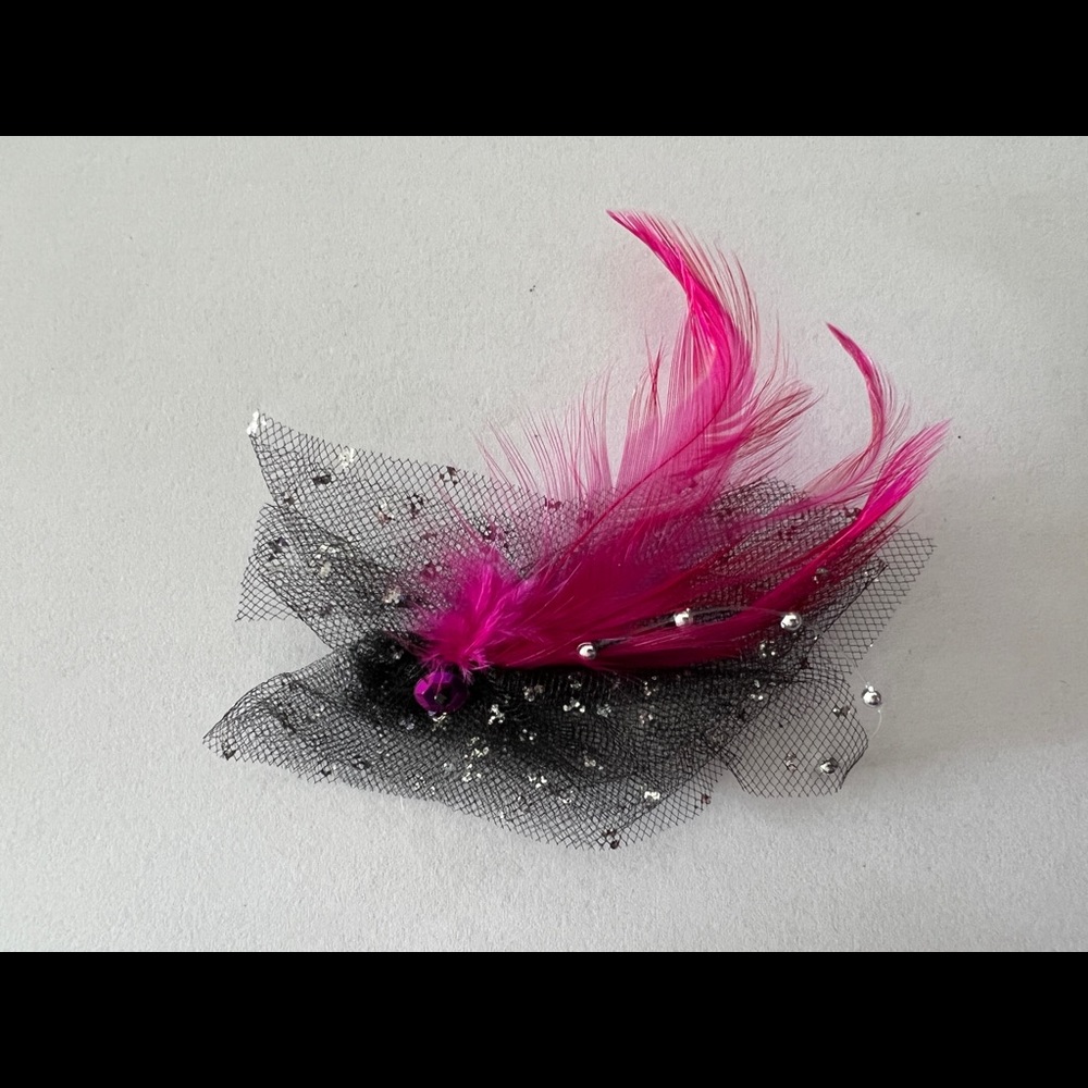 Super Fun Feather Hair Clip